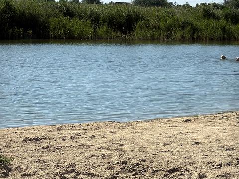 будинок за адресою Підгородне, Залізнична вул., 297