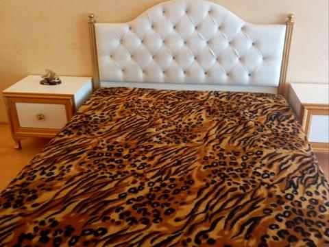 квартира за адресою Оболонський просп., 22-В
