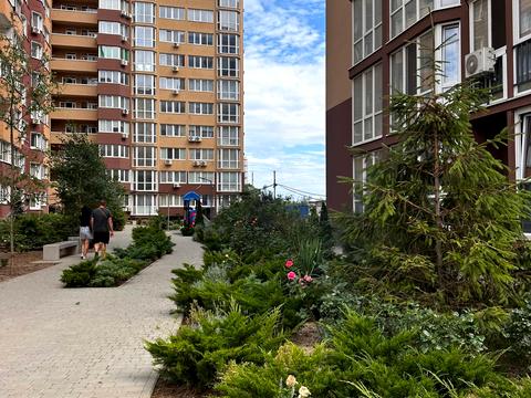 квартира за адресою Шкільна вул., 43