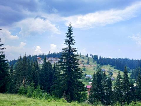 ділянка за адресою с. Яблуниця, Горішків
