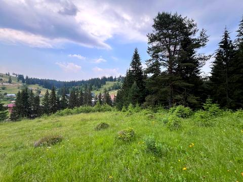 ділянка за адресою с. Яблуниця, Горішків