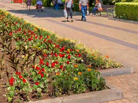 комерційна за адресою Тернопіль, Тараса Шевченка бульв., 29