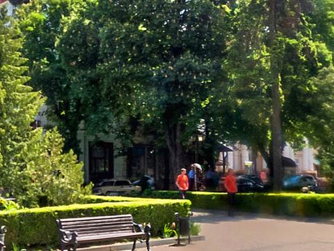 комерційна за адресою Тернопіль, Тараса Шевченка бульв., 29