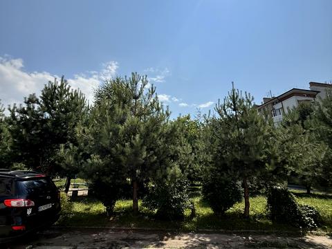 квартира по адресу Самборская ул., 1