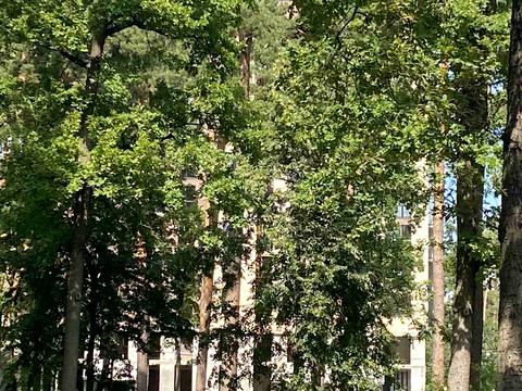 квартира за адресою Соборна вул., 122/2