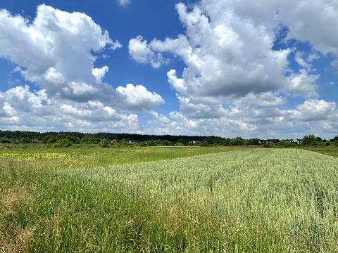 ділянка за адресою с. Холодновідка, 