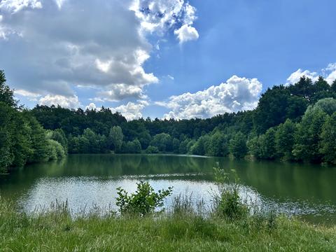 ділянка за адресою с. Холодновідка, 