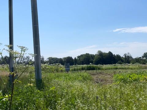 участок по адресу Вивізна ул.