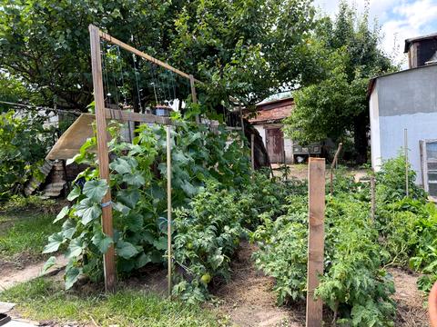 будинок за адресою Старомайорська вул. (Чухновського)