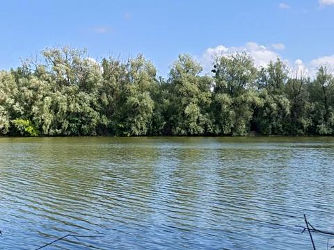 ділянка за адресою Красилів, 