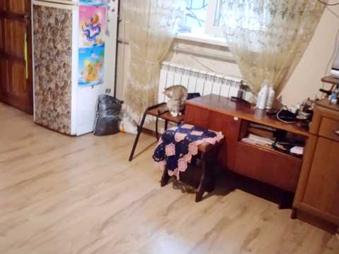 дом по адресу Перемоги ул., 42
