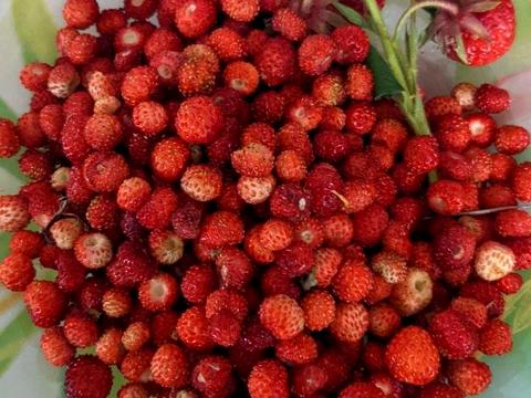 будинок за адресою Софієвська
