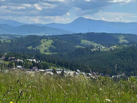 ділянка за адресою с. Яблуниця, уч. Діл