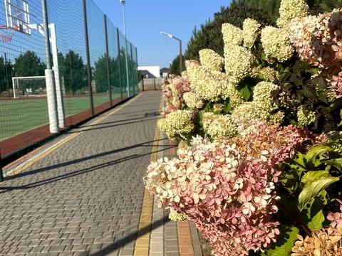 участок по адресу Дайберг