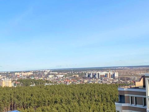 комерційна за адресою Університетська вул., 1п/1