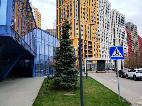квартира за адресою Столичне шосе, 5А