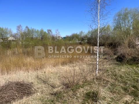 ділянка за адресою смт. Велика Димерка, Молодіжна, 55