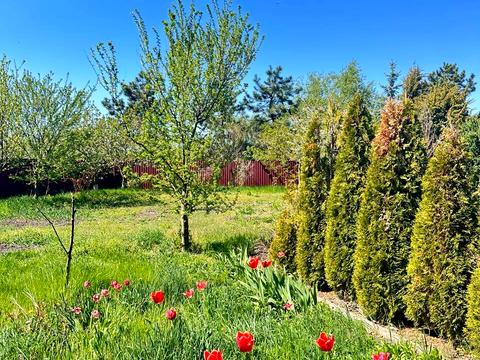 будинок за адресою Боровкова вул., 5