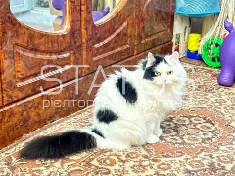 квартира за адресою Шведська вул., 22