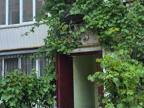 квартира за адресою Зеленого Клину вул. (Уссурійська), 2