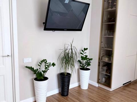 квартира за адресою Петра Лінтура вул., 7