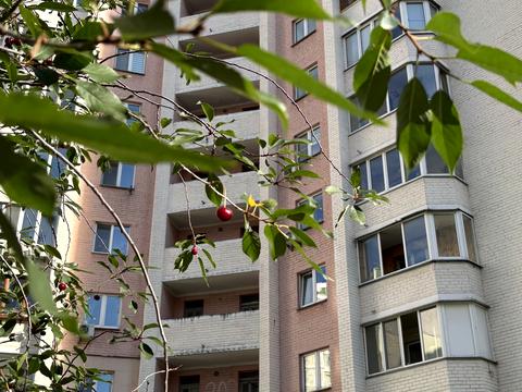квартира по адресу Вишняковская ул., 13-В