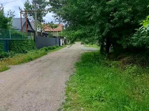 дом по адресу Приозерне