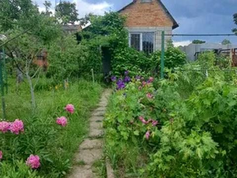 дом по адресу Приозерное