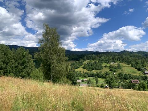 участок по адресу Зелена