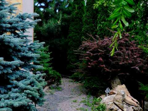 будинок за адресою Рівне, Провулок Корнинський