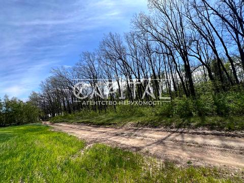 участок по адресу Центральна