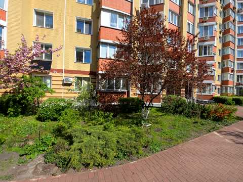 квартира за адресою Салютна вул., 1-Б