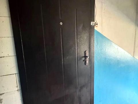 квартира по адресу Паникахи ул., 15