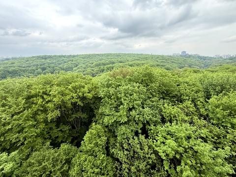 квартира по адресу Жасминовая ул., 5б