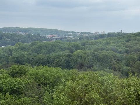 квартира по адресу Жасминовая ул., 5б