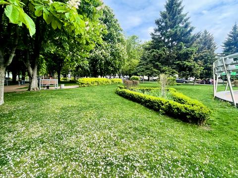 кімната за адресою Кременчук, Лесі Українки просп. (50 років Жовтня), 29