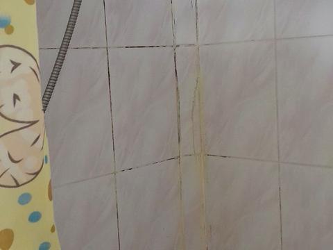 дом по адресу Костанди ул.