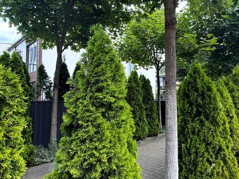 будинок за адресою Найкраща вул. (Ломоносова)
