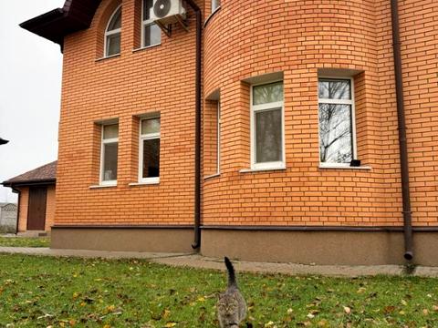 будинок за адресою Радіщева пров., 64/25