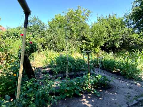 будинок за адресою Виноградна вул., 5