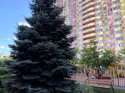 квартира за адресою Сім'ї Кульженків вул. (Петра Дегтяренка), 31-А