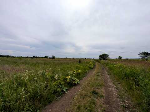 ділянка за адресою Вивізна вул.