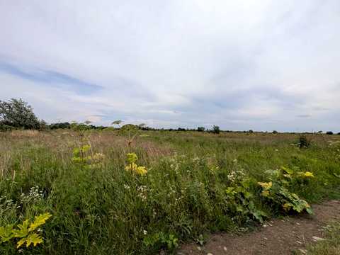 ділянка за адресою Вивізна вул.