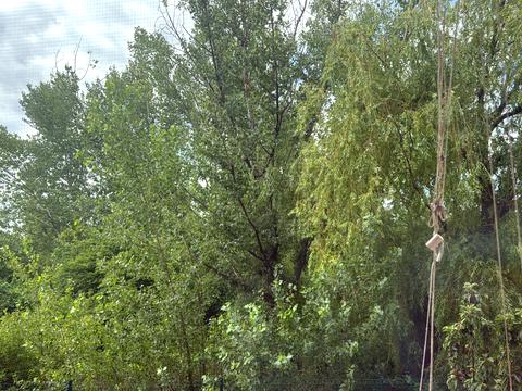 участок по адресу Станційна