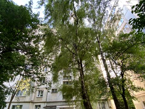квартира за адресою Миру просп., 60/1