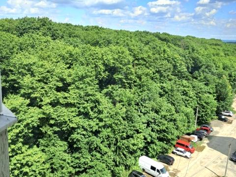 квартира за адресою Лісогринівецька вул., 18-А