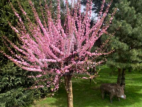 будинок за адресою Сорочинська вул., 25