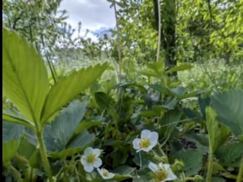 будинок за адресою Івана Франка вул., 12