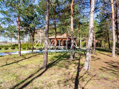 дом по адресу незалежності, 1