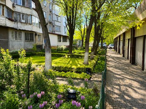 комерційна за адресою Іцхака Рабіна вул., 2